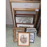 A collection of twelve framed and glazed prints