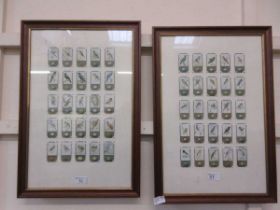 Two framed and glazed collections of cigarette cards depicting birds
