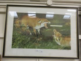 A framed and glazed limited edition print titled 'Dogfox With Vixen' no.214/850 signed in pencil