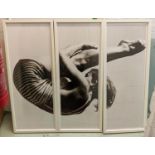 TROWBRIDGE GALLERY, Olympic High Dive, triptych giclee fine art print, 125cm x 55cm per panel. (3)