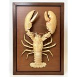 TAXIDERMY LOBSTER, of substantial size, mounted and framed, Emmanuel Cruysmans Taxidermist label