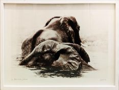 CAROLINE GIBELLO, Brotherhood, photographic print on fine art paper, framed and glazed, 109cm x