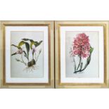 PRINTS, a pair, 98cm H x 77cm each, including frames, from Trowbridge in cream and gilt frame. (2)