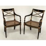 ARMCHAIRS, a pair, Regency style lacquered and gilded each with cane seat and 'X' back, 56cm W. (2)