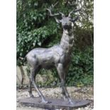 CONTEMPORARY SCHOOL SCULPTURAL STAG, 154cm high, 105cm long, 50cm deep, cast metal, plinth base,