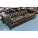 POTTERY BARN CHESTERFIELD SOFA, 243cm x 81cm x 105cm D, in tanned buttoned leather.