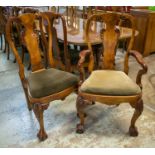 DINING CHAIRS, a set of 16, George I style burr walnut, including two armchairs, with green velvet