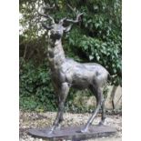 CONTEMPORARY SCHOOL SCULPTURAL STAG, 154cm high, 105cm long, 50cm deep, cast metal, plinth base,