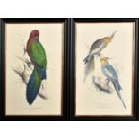 AFTER EDWARD LEAR, a set of twelve lithographs in colour of parrots, each 56cm x 40cm. (12)