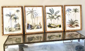BOTANICAL PRINTS, 50cm x 35cm, set of four, framed and glazed. (4)