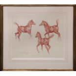 DAVINA OWEN, 'Studies of a Foal', crayon on paper, 52cm x 42cm, signed and dated 2001, framed.