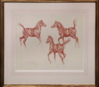 DAVINA OWEN, 'Studies of a Foal', crayon on paper, 52cm x 42cm, signed and dated 2001, framed.