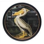AFTER JOHN JAMES AUDOBON, 'American White Pelican' lithograph, 105cm diam.