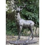 SCULPTURAL STAG, 154cm high, 105cm wide, 50cm deep, cast iron, in a bronzed finish.