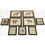 TROWBRIDGE GALLERY ANIMAL PRINTS, a set of nine, four large 52cm x 64cm and five smaller 41cm x