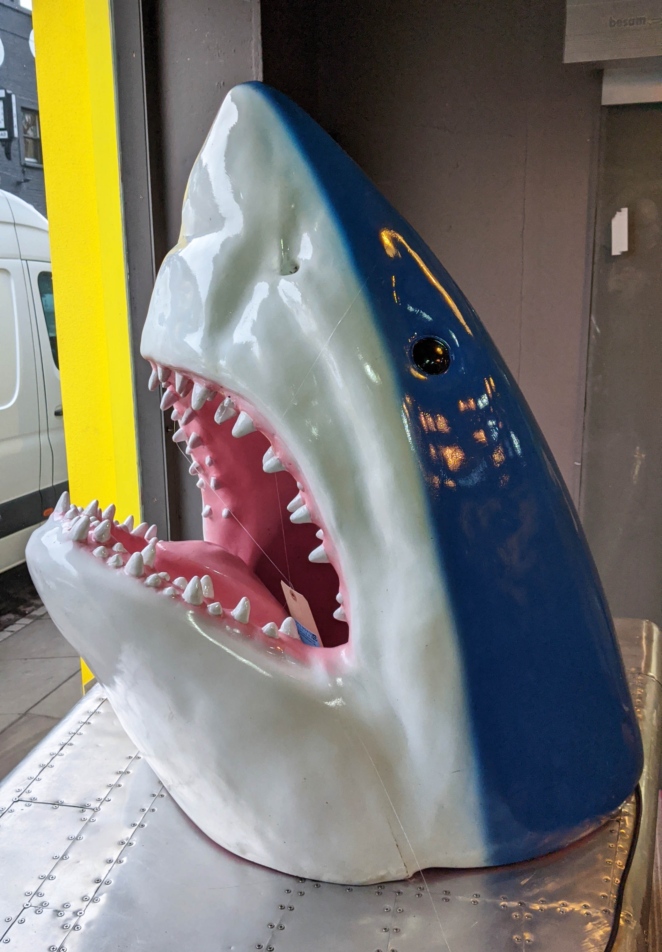 SHARK HEAD, moulded fibre glass, polychrome finish, 60cm diam x 90cm.