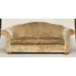 SOFA, champagne velvet chenille upholstered with arched back, scroll arms and feather pads, 222cm W.