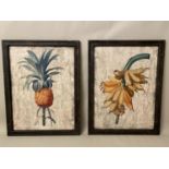 BOTANICAL PRINTS, a pair, framed, each measuring 88cm x 68cm. (2)