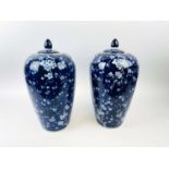 GINGER JARS, a pair, 39cm H, blue and white ceramic.