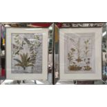 BOTANICAL PRINTS, a pair, framed in antiqued mirror frames 59cm x 49cm each. (2)