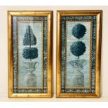 BOX BUSH BOTANICAL PRINTS, a pair, 103cm x 54cm, framed and glazed. (2)