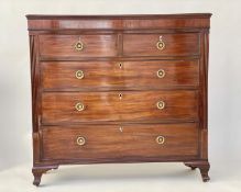 HALL CHEST, early 19th century Scottish flame mahogany of adapted shallow proportions with two short
