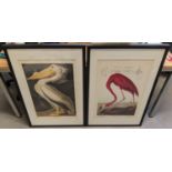 AFTER JOHN JAMES AUBUDON PRINTS, a set of two, framed and glazed, 91cm x 61cm. (2)