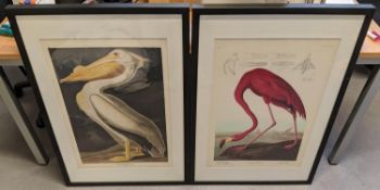 AFTER JOHN JAMES AUBUDON PRINTS, a set of two, framed and glazed, 91cm x 61cm. (2)