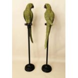 SCULPTURAL PARROTS ON PERCH, a pair, polychrome finish, 116cm H x 23cm. (2)