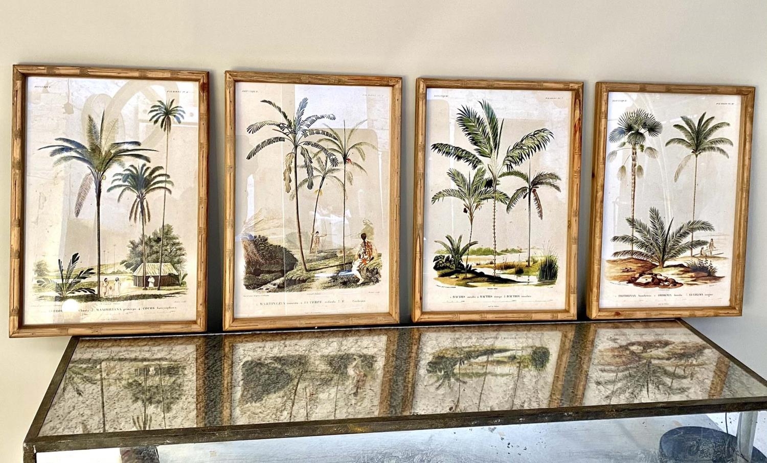BOTANICAL PRINTS, a set of four, framed and glazed, 50cm H x 35cm W. (4)