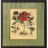 BOTANICAL PRINTS, a pair, 86cm x 74cm. (2)