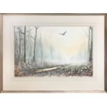 JONATHAN YULE (1952), 'Woodcock in the mist', watercolour, 34.5cm x 53cm, signed and framed.