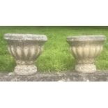 GARDEN URNS/PLANTERS, a pair, well weathered reconstituted stone of campana urn form, 40cm x40cm