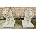 SCULPTURAL LIONS, a pair, composite stone, 69cm H. (2)