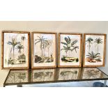 BOTANICAL PRINTS, a set of four, framed, 50cm x 35cm. (4)
