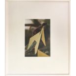 CONTEMPORARY SCHOOL REPTILE, photoprint with gold leaf, 18cm x 30cm.
