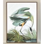 AFTER JOHN JAMES AUDUBON, print on canvas, framed, 113cm x 83cm.