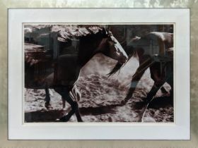 CONTEMPORARY SCHOOL, galloping horses gelatin silver print, 131cm x 95cm, framed and glazed.