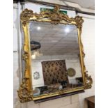 OVERMANTEL MIRROR, 161cm H x 145cm, Victorian giltwood with decorative berry and fruit detail.