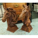 SCULPTURAL STALLION BUSTS, a pair, oxidised metal, 46cm H.