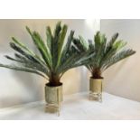 FAUX FERN TREES, a pair, 130cm high, in gilt metal planters. (2)