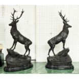 AFTER J MOIGNIES, a pair of stags, bronzed metal, 73cm H, on marble bases. (2)
