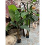 FAUX BANANA PALMS, a set of two, potted, small 20cm W x 18cm D x 172cm H, large 23cm W x 20cm D x