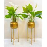 FAUX PRAYER LILY PLANTS, a pair, in gilt metal planters with tripod bases, 110cm H. (2)