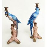 PARROT CANDLESTICKS, a pair, Continental style painted porcelain and gilt metal mounted, 51cm H. (2)