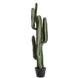 FAUX CACTI, a graduated pair, smaller of the two, 114cm H x 31cm W x 31cm D, larger of the two,