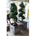 FAUX BOX TREES, a pair, in planters, 170cm H. (2)