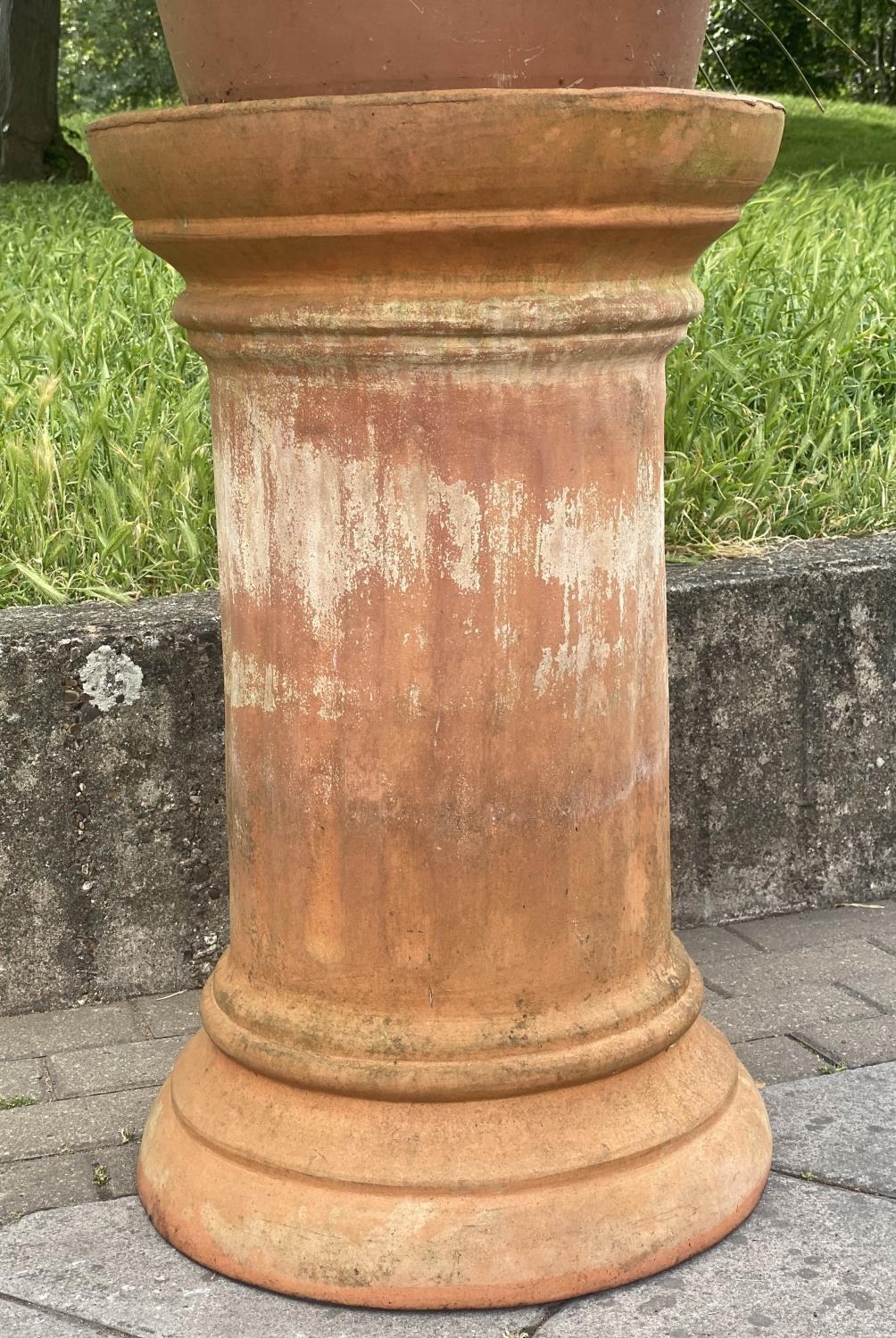 PALM PLANT ON STAND, in terracotta graduated pot on cylindrical fluted terracotta stand, stand - Image 5 of 6