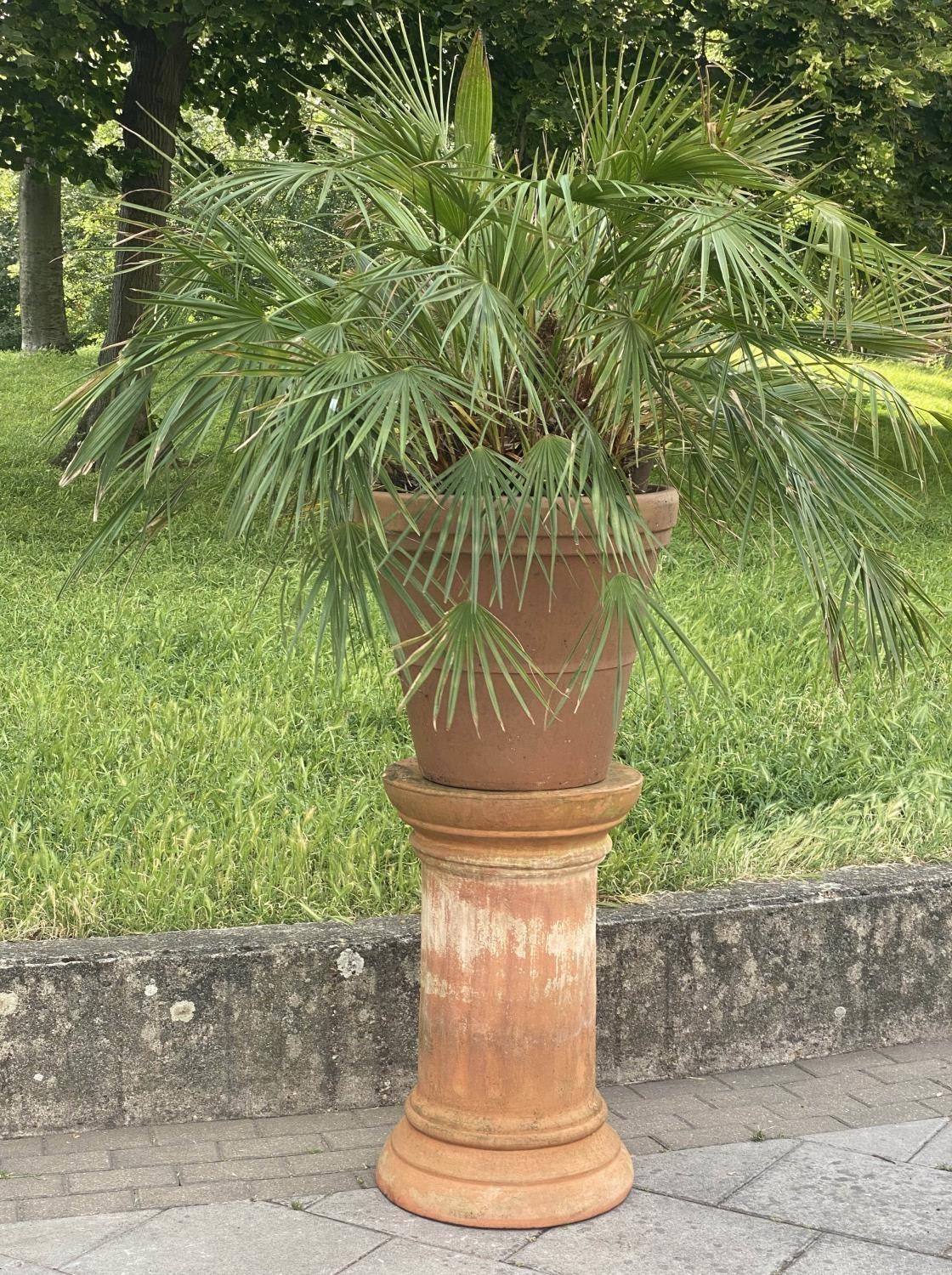 PALM PLANT ON STAND, in terracotta graduated pot on cylindrical fluted terracotta stand, stand