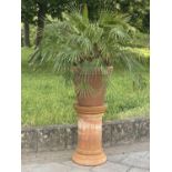 PALM PLANT ON STAND, in terracotta graduated pot on cylindrical fluted terracotta stand, stand